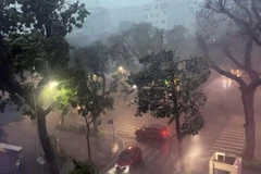 第3号台风导致强降雨，河内多处树木和车辆在街头被吹倒。图自越通社