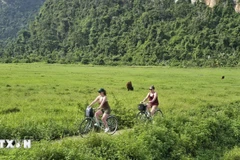 越海拥有优美的自然景观和良好的生态环境。图自越通社