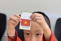 一名越南裔加拿大儿童在加拿大多伦多传统越南语课堂上。图自越通社