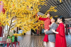 2026 岘港新年庆典打造城市年度最大文化娱乐盛宴。岘港市文化体育与旅游厅供图