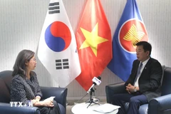 越南驻韩国大使武湖接受越通社记者采访。图自越通社