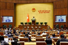 财政部部长阮文胜在会上发表讲话。图自越通社