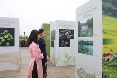 代表们参观“越南文化遗产——从传统到现代的生命力”专题展。图自越通社