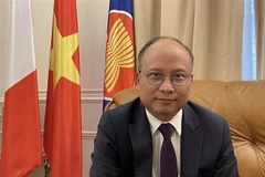 越南驻法大使丁全胜。图自越通社