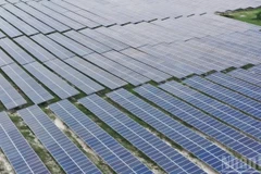 在越南林同省峰富太阳能发电场（Solarcom）安装的太阳能电池板。图自《人民报》