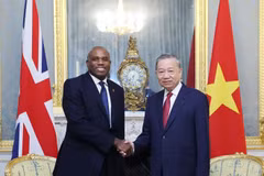 越共中央总书记苏林会见英国副首相戴维·拉米。图自越通社