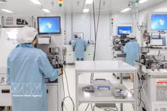 胡志明市高科技园区的电光高科技工厂生产活动。图自越通社