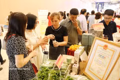 有机农业生产创造更加美好的未来。图自越通社