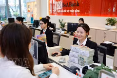 资料图。图自越通社