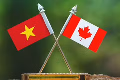 资料图：越南与加拿大国旗。图自互联网