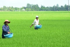 中东冲突对农业，特别是肥料供应产生巨大影响。图自互联网