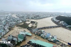 暴雨导致嘉莱省归仁东坊多地被淹。图自越通社