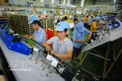 位于富寿省的越南Minda自动零件优先责任公司的生产活动。图自越通社