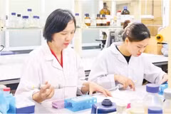 科研人员开展《研究制备纳米荭草苷作为保健食品原料用于辅助预防和治疗糖尿病》的科研项目。图自《人民报》