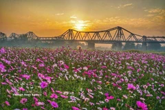 河内的文化与历史象征——龙边桥之美。图自越通社