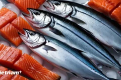 资料图。图自越通社