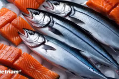 资料图。图自越通社