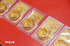 资料图。图自越通社