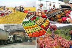 2025年前5月农林水产品出口额增长逾15%。图自congthuong.vn
