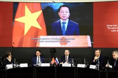 越南政府副总理陈红河发表视频讲话。图自越通社