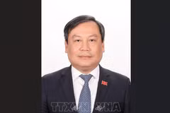武大胜担任河内市委副书记。图自越通社