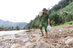 公安力量向庆和省博爱西乡的洪水灾区居民运送救援物资。图自越通社