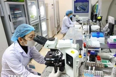 中央内分泌医院的科学研究活动。图自越通社