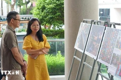 展览参观者。图自越通社