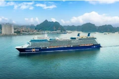 超级邮轮“名人永恒号”。图自《西贡解放报》