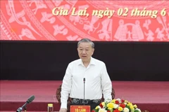 越共中央总书记苏林发表讲话。图自越通社