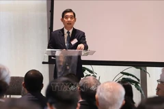 越南驻泰国大使范雄在论坛上发表讲话。图自越通社