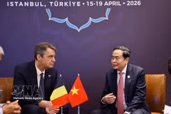 越南国会主席陈青敏会见比利时联邦参议院议长文森特·布隆代尔。图自越通社