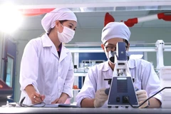 资料图。图自《新河内报》