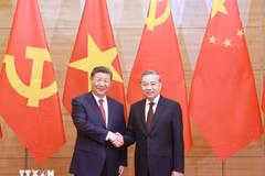 越共中央总书记苏林与中共中央总书记、国家主席习近平。图自越通社