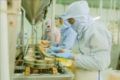 资料图。图自越通社