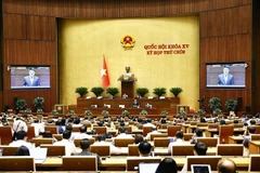 越南最高人民检察院检察长阮辉进就国徽代表提出的问题进行进一步说明和厘清。图自越通社