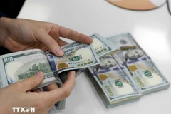 资料图。图自越通社