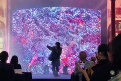 闭幕式上的艺术表演。图自越通社