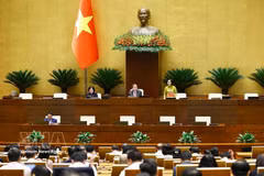 国会副主席阮氏青主持会议。图自越通社