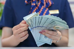 资料图。图自越通社