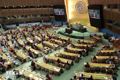 美国纽约时间10月14日,联合国大会在联合国总部选举2026-2028年任期的联合国人权理事会成员国。图自越通社