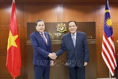 越南国会主席陈青敏与马来西亚上议院总部同马来西亚国会上议院议长阿旺比米。图自越通社