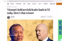 新西兰新闻网站The Spinoff刊登的文章。图自越通社