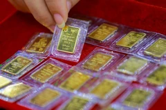 资料图。图自越通社