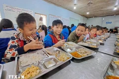 资料图。图自越通社