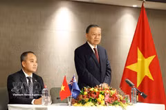 越共中央总书记、国家主席苏林在见面会上发表讲话。图自越通社