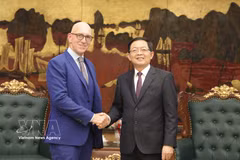 越南政府副总理胡国勇与赛默飞世尔科技公司董事长兼首席运营官吉安卢卡·佩蒂蒂。图自越通社