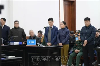 第五军区军事法院审判委员会对一起涉及旧芽庄机场、违反土地管理规定和诈骗侵占财产的一审案件作出判决。图自越通社