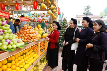 北宁水果节设有逾200个展位，推介来自各地多种水果。图自thiennhienmoitruong.vn