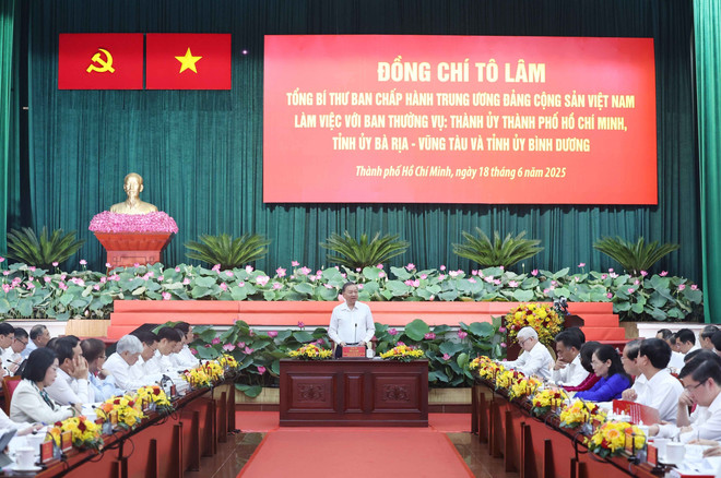 苏林在会上发言。图自越通社 vna-potal-tong-bi-thu-to-lam-va-doan-cong-tac-trung-uong-lam-viec-voi-ban-thuong-vu-thanh-uy-thanh-pho-ho-chi-minh-tinh-ba-ria-vung-tau-va-binh-duon-8098100.jpg